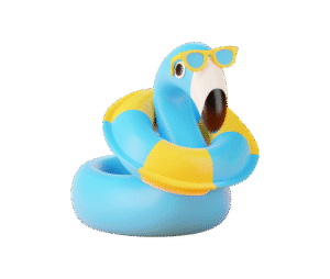 Wondear Dolls: Where Imagination Comes to Life!